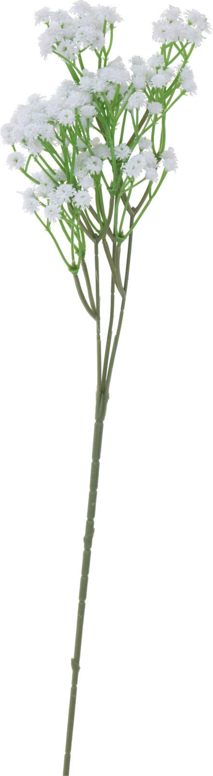 Kunstblume Zweig