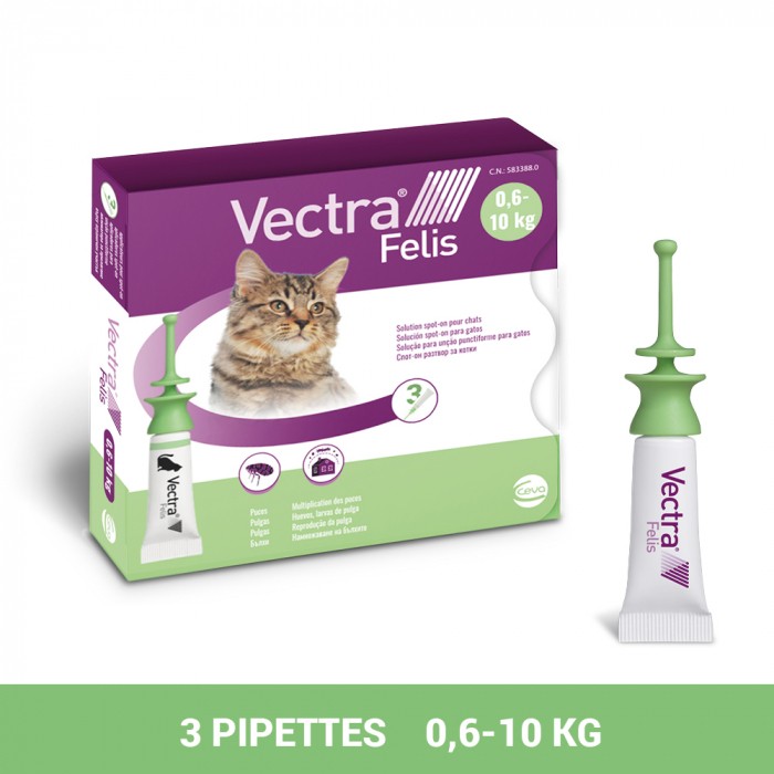 Pipettes anti-puces Vectra Felis Chat
