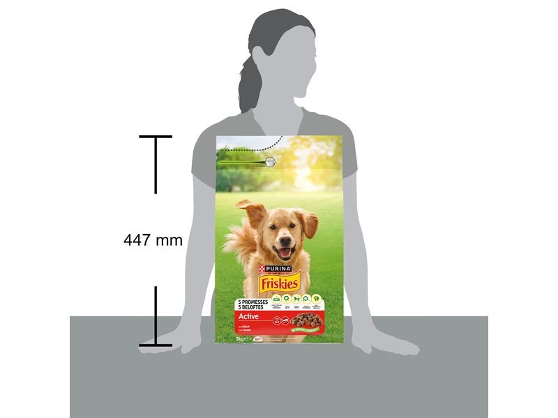 Purina Friskies Trockenfutter Active Hund mit Rind 3 kg Alleinfutter für Hunde