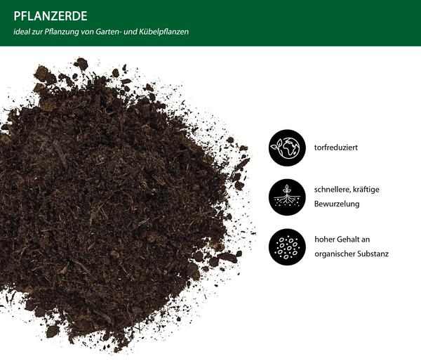 Dehner Pflanzerde, 39 x 60 Liter