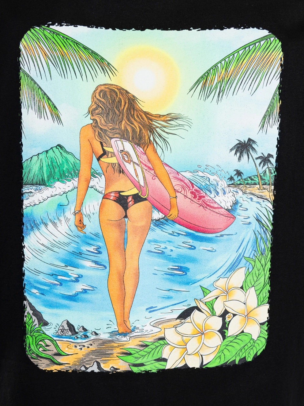 Blue Tomato Summer Surfer T-Shirt black