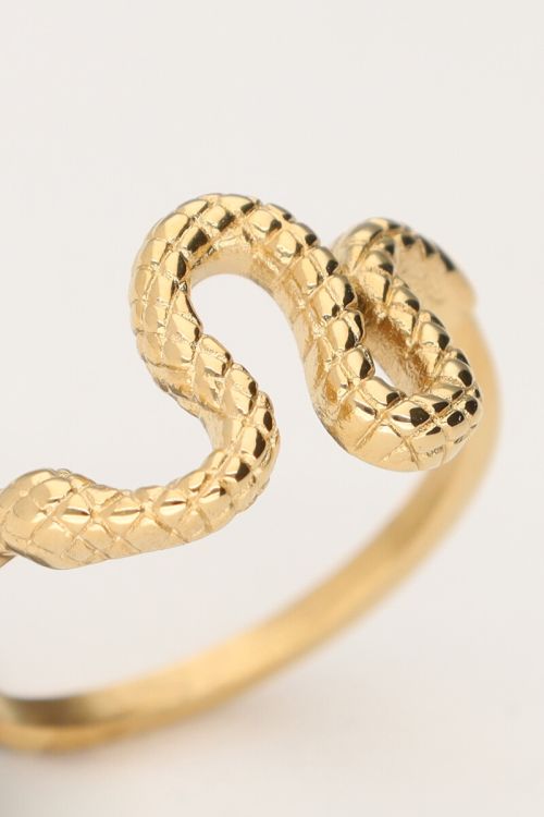 Ring met slang