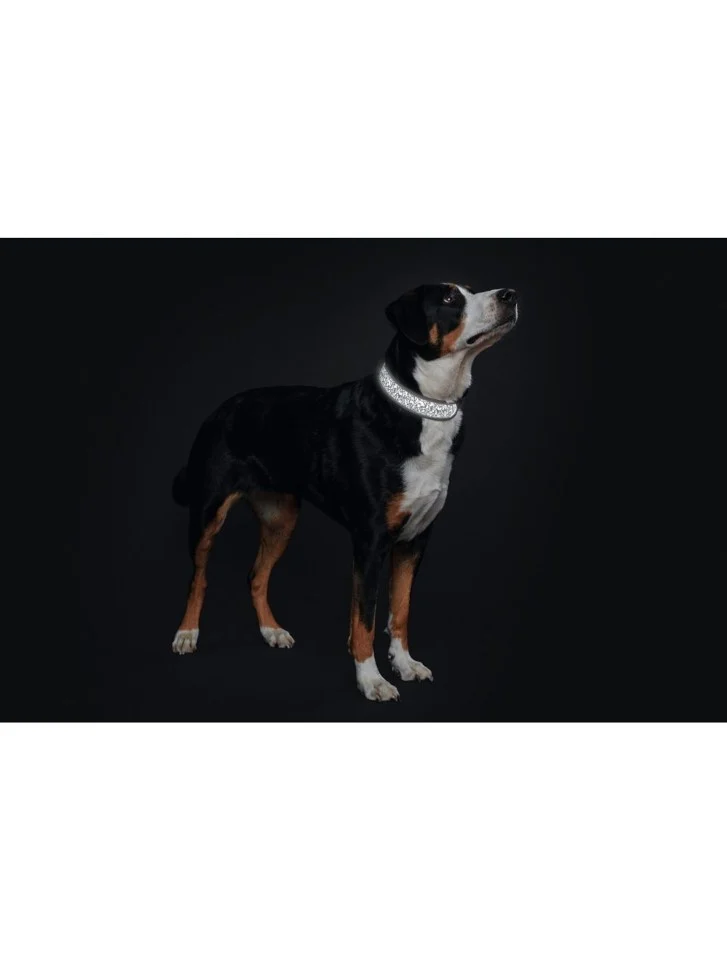 Hunter - Hundehalsbånd Divo Reflect S 25-35cm , Refleks