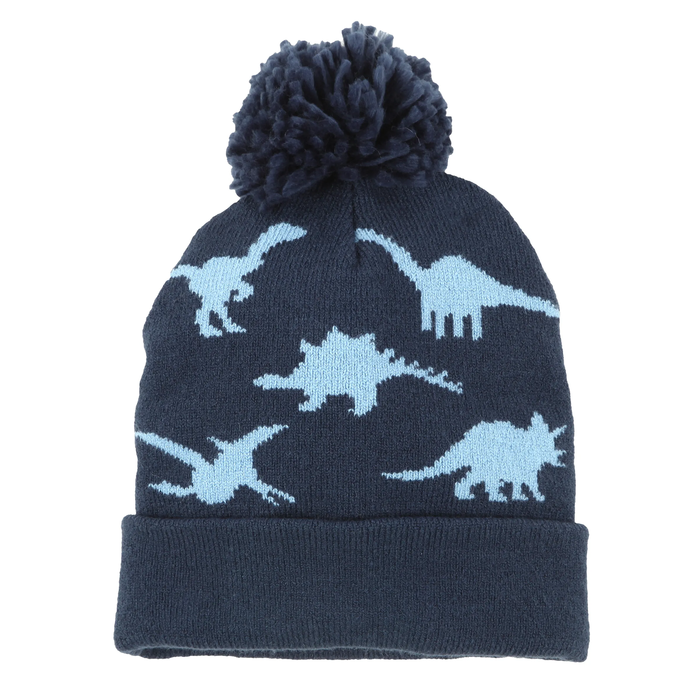 Jungen Mütze mit Dinoprint