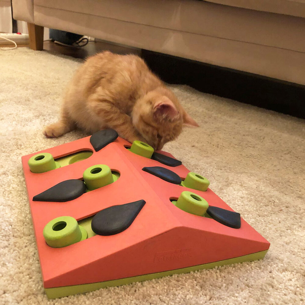Nina Ottosson Puzzle and Play - Melon Madness