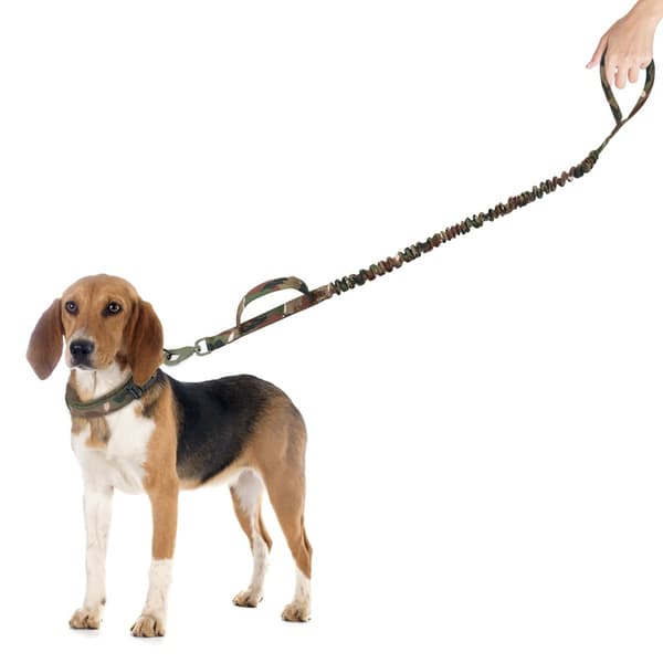 INF Uttrekkbart hundetreningsbånd med innvendig klips