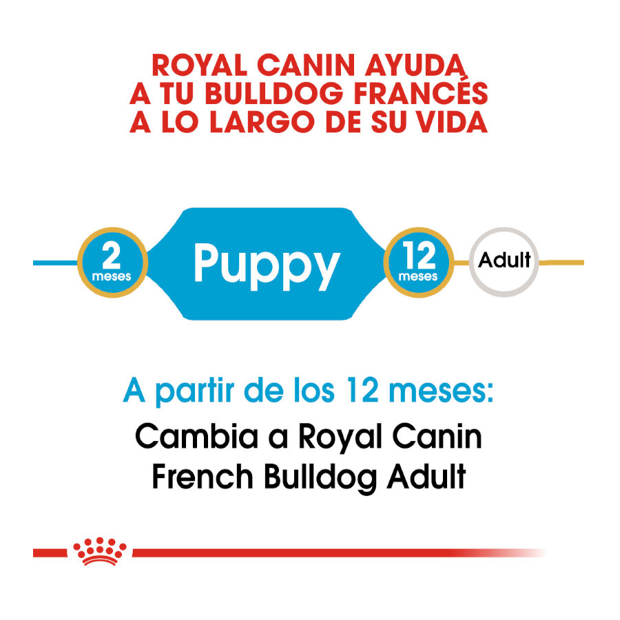 Ração Royal Canin para filhotes de Bulldog Francês