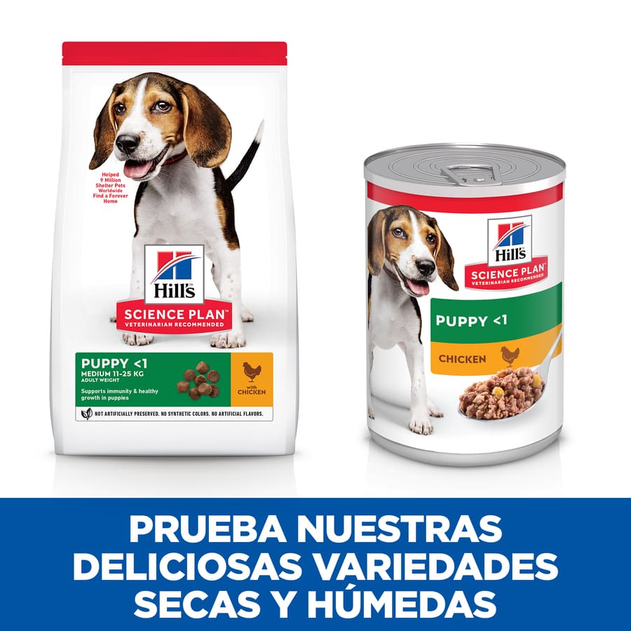 Hill's Science Plan Puppy Chicken Can para Cães