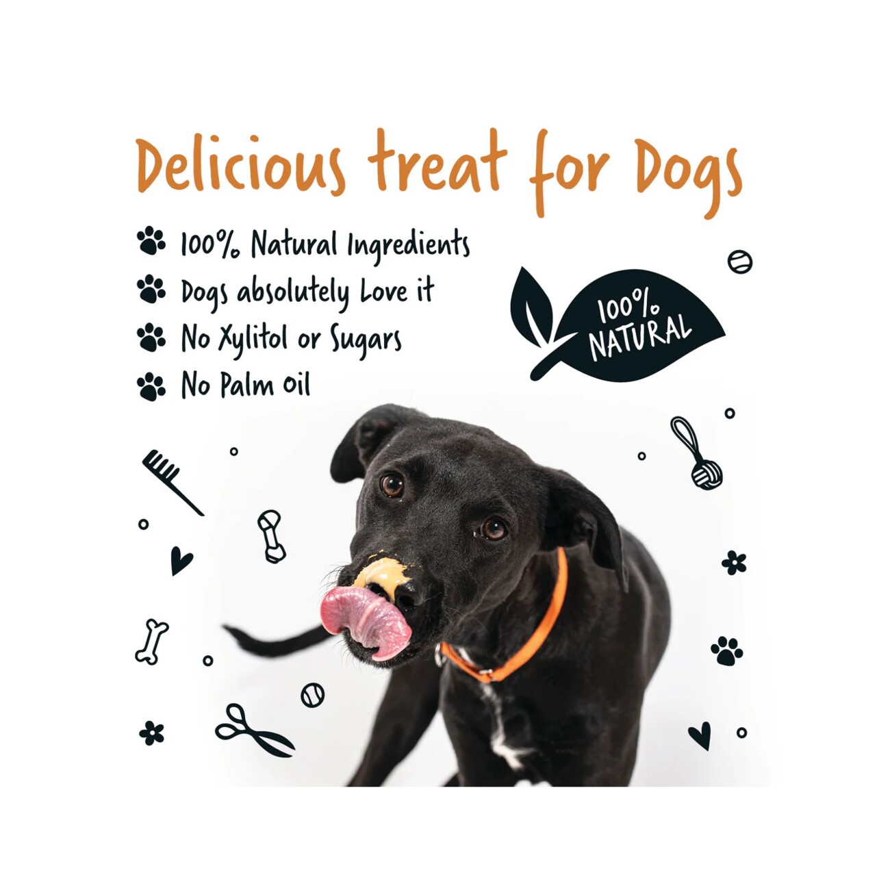 Bugalugs 100% Natürliche Erdnussbutter für Hunde Proteinreicher Snack ohne Zucker, Salz & Palmöl