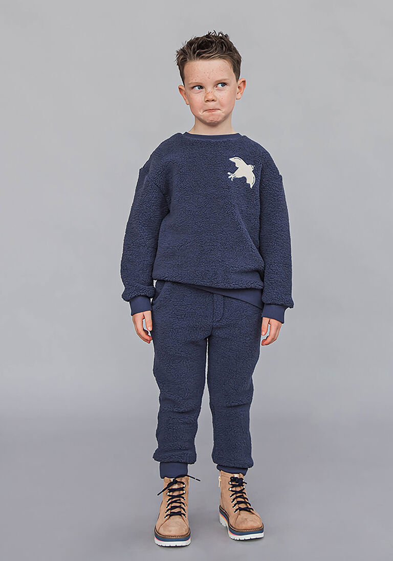 CARLIJNQ blauwe carlijnq sweater free like a bird - sweater with patch