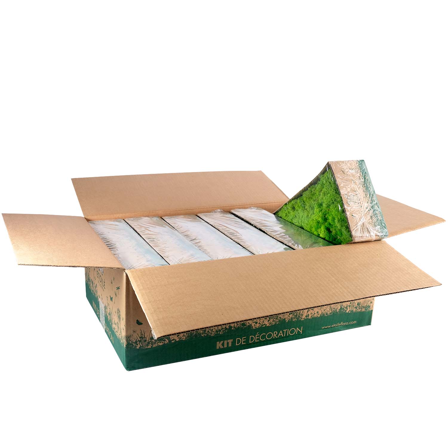 Lic/0579 lichen stabilisée vert w-box 0,5 kg