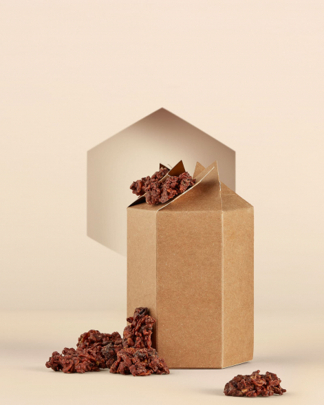 Rocher Roc' Noisette Chocolat au Lait 45% | Le Chocolat Alain Ducasse 100g