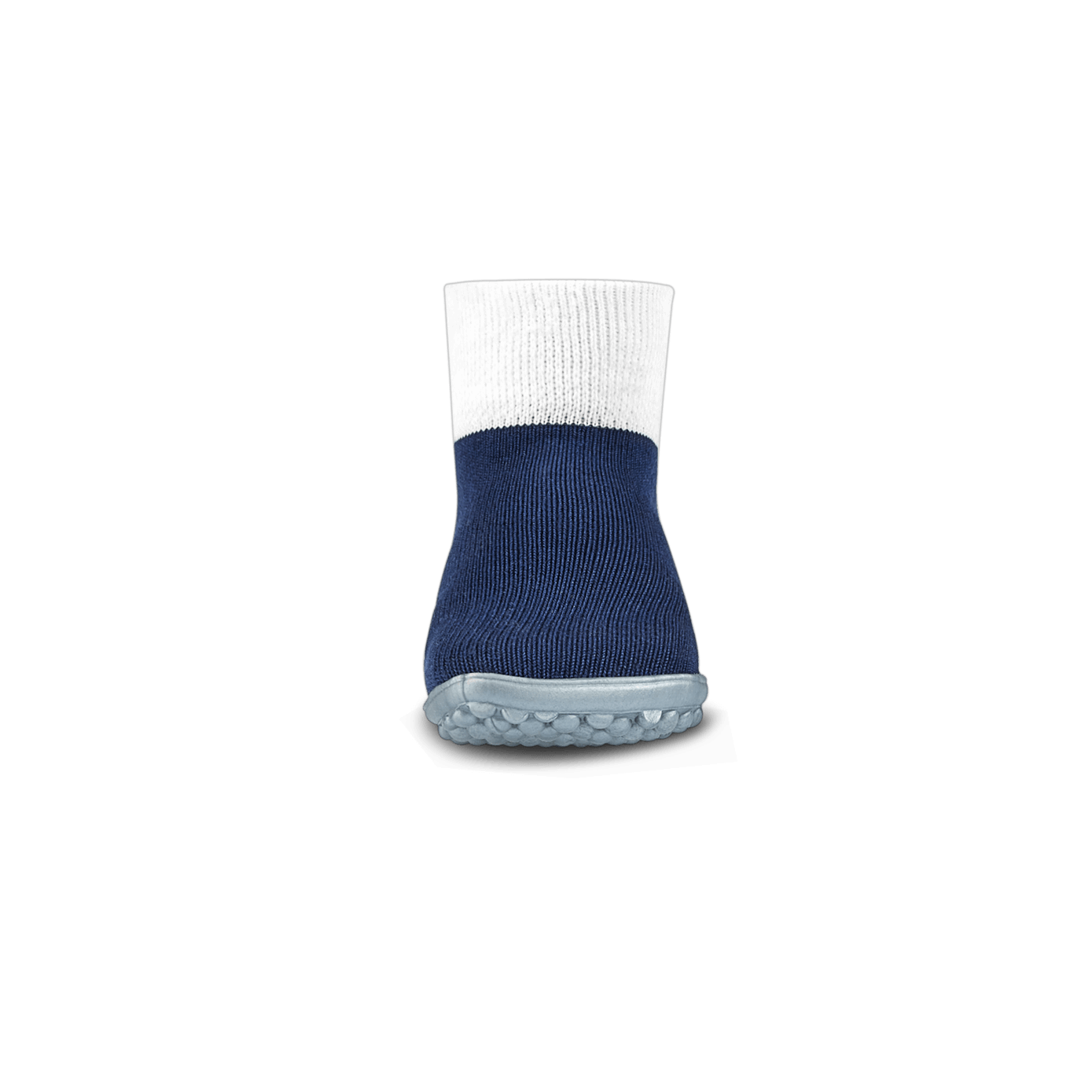 leguanito blau