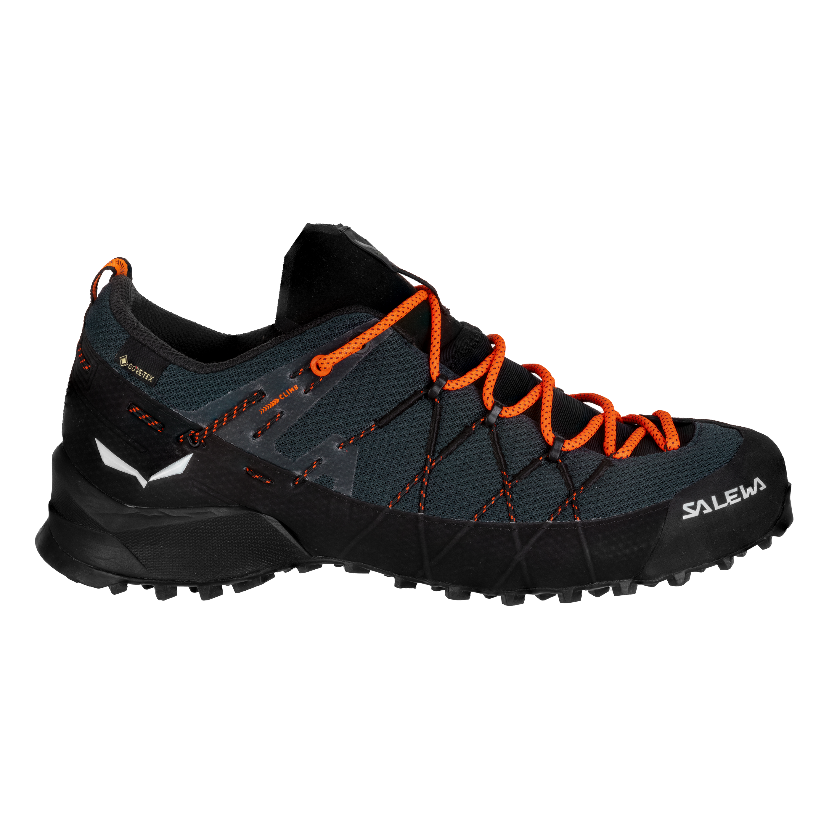 Wildfire 2 Gore-Tex® Schuh Herren