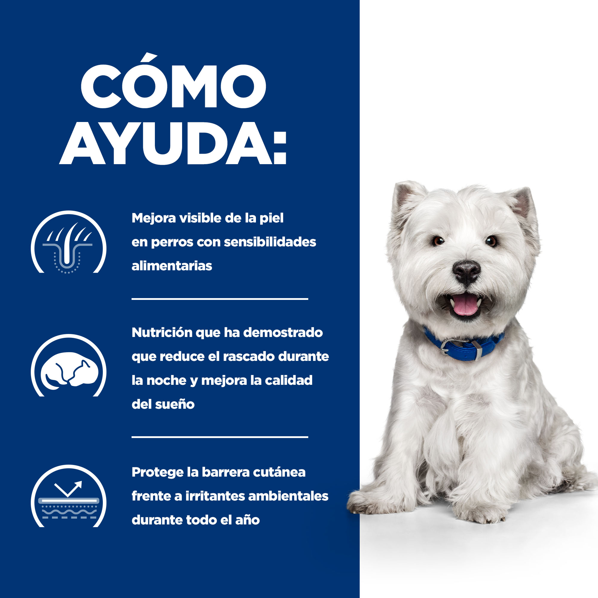 Ração Hill's Prescription Diet Derm Complete Mini para Cães