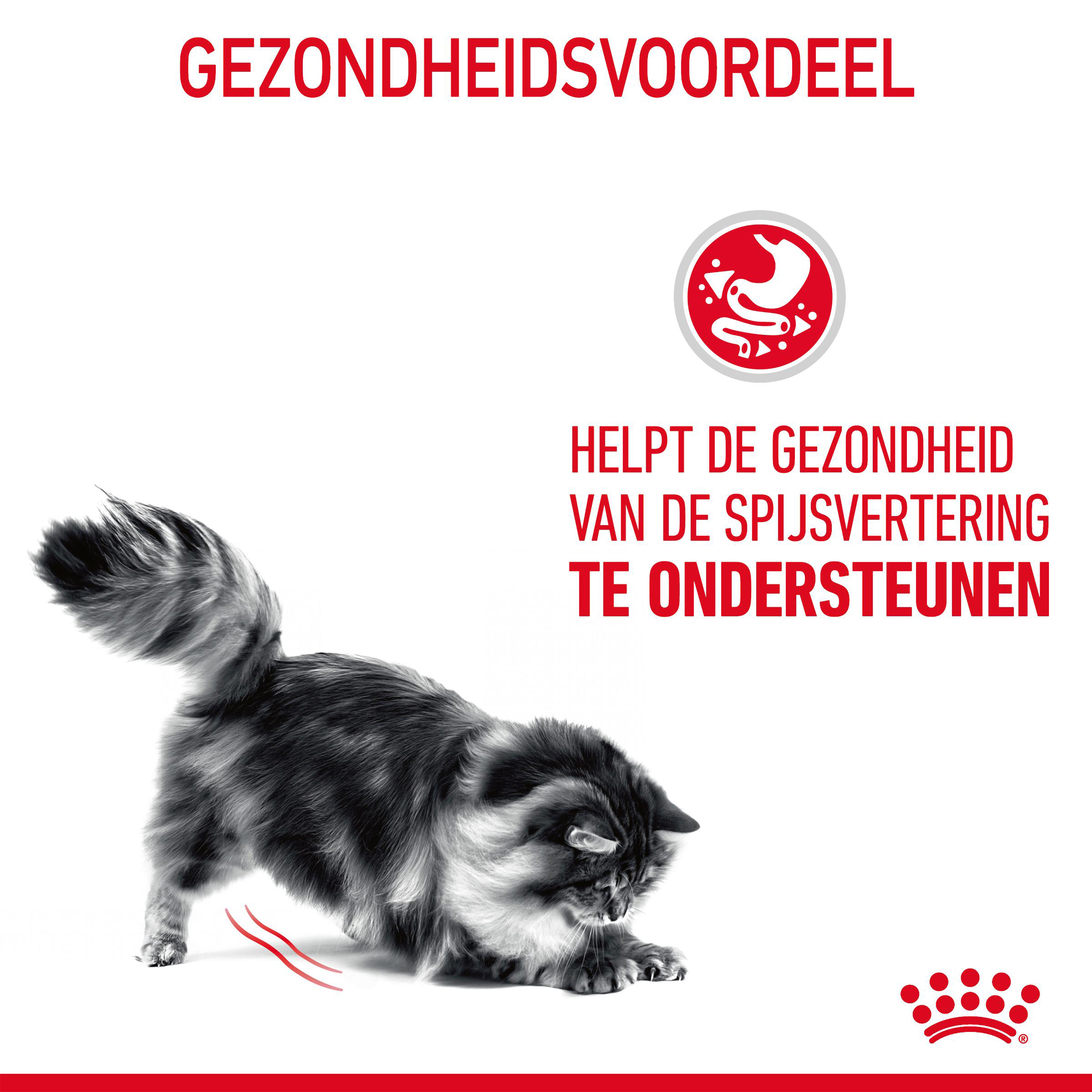 Royal Canin Digestive Care - Kattenvoer
