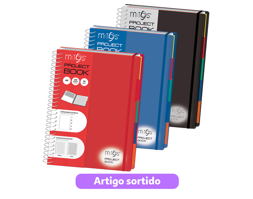 CADERNO PROJETOS A4 PAUTADO E QUADRICULADO MITOS COM ELÁSTICO E 5 SEPARADORES CORES SORTIDAS