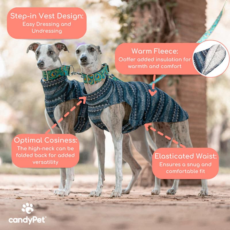 Camisa de lã elegante CandyPet para cães da raça Greyhound.