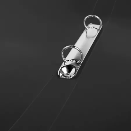 Idena Ringbuch DIN A4, 2-Ring-Mechanik, 20 mm Rücken, schwarz