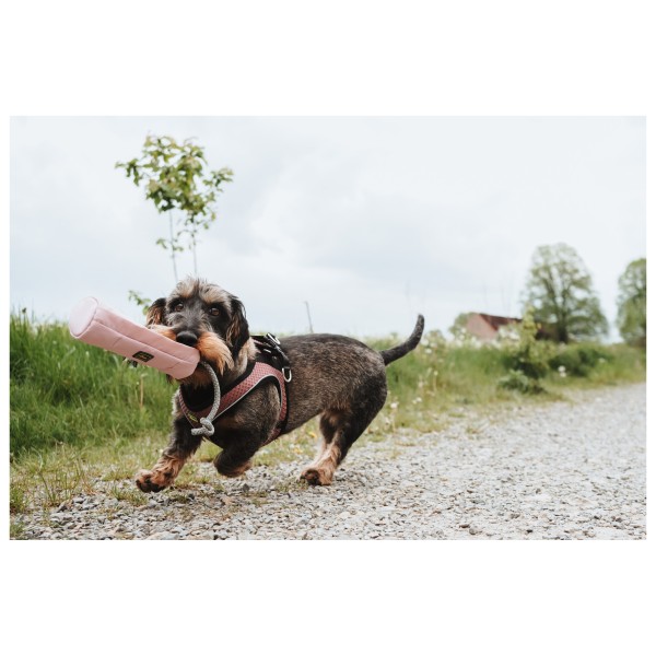 Hunter - Dummy Trainer Snack avec corde - Accessoire pour chien