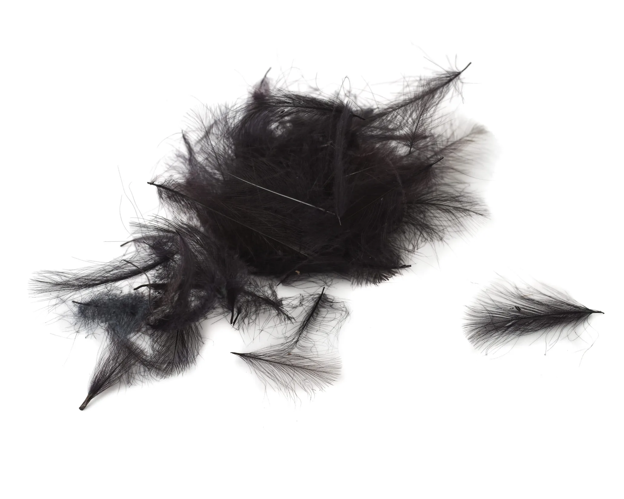 Flydressing Premium Cdc