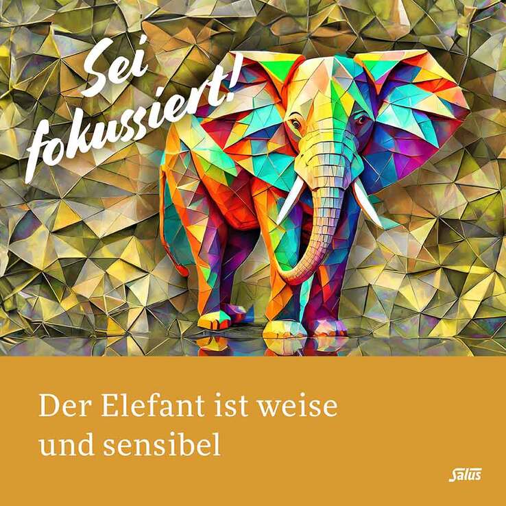 Krafttier Tee Weiser Elefant Bio Salus Filterbeutel , 15 St