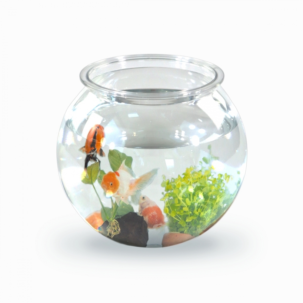 Aquário transparente de 4 litros em PET ecológico para peixes pequenos, fácil de limpar, Nemo Aquatic Garden