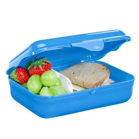 Step by Step Lunchbox mit Trennwand, Wild Horse, Blau