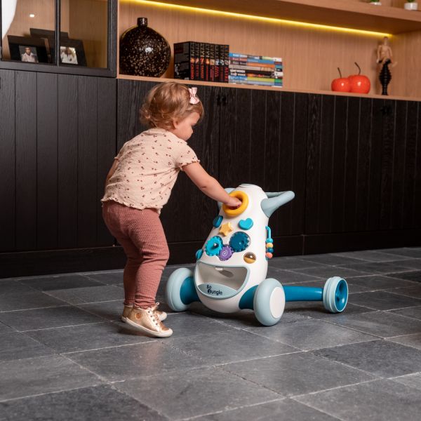 Bo Jungle Jumpy Loopwagen Pink