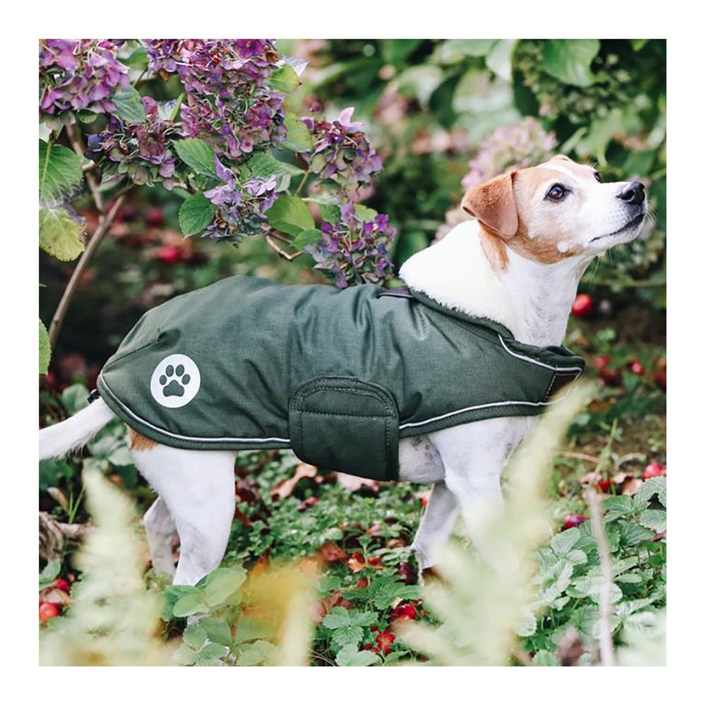 Kentucky PINA - Manteau pour chien vert sapin