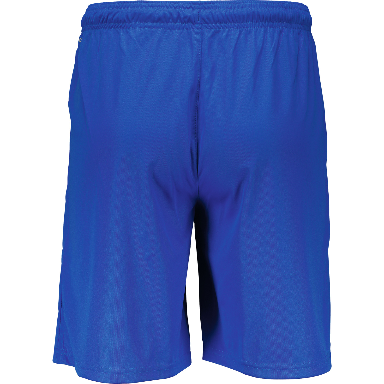Puma Herren-Shorts team Liga M, blau
