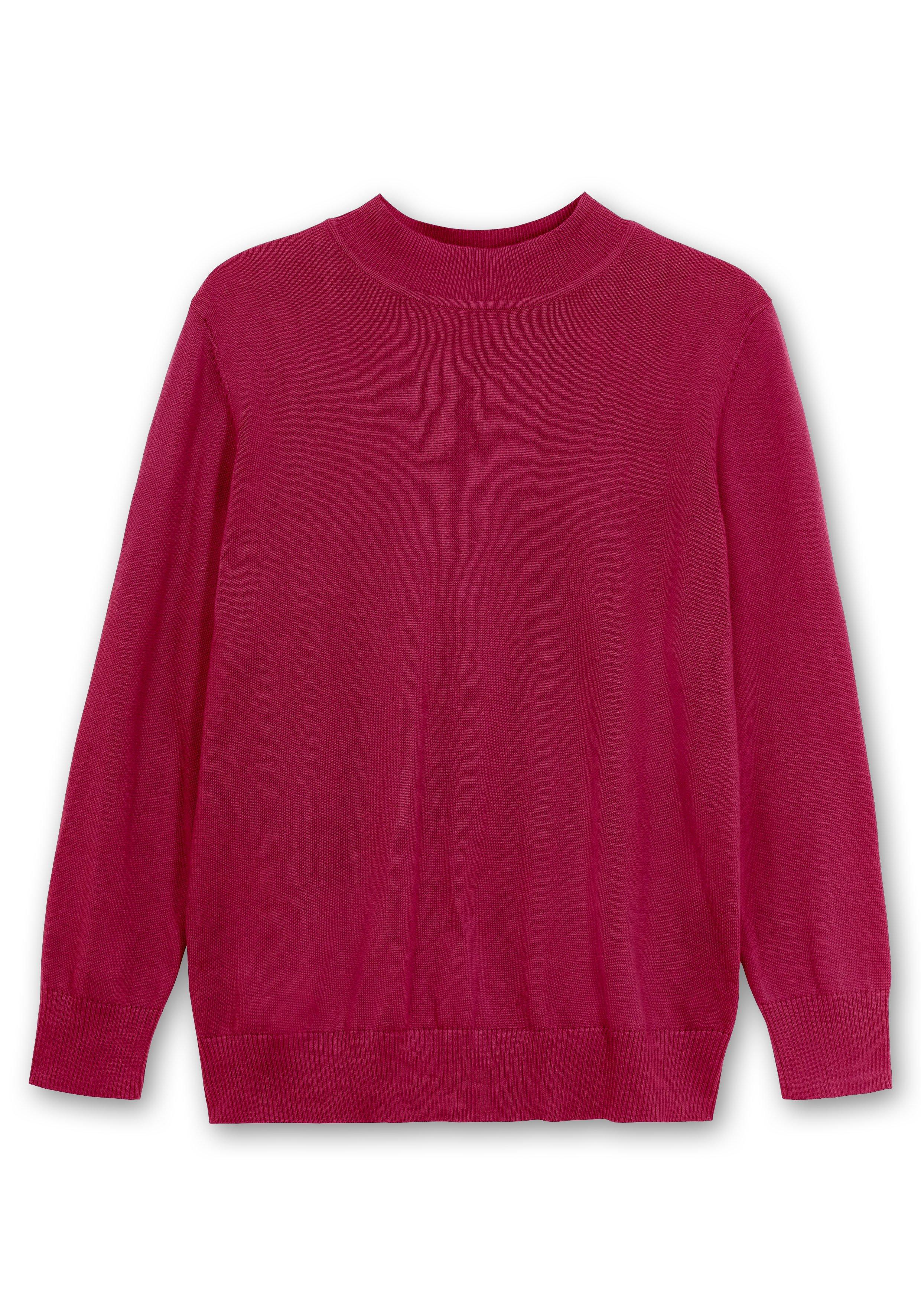 Pullover aus Feinstrick, mit Stehkragen