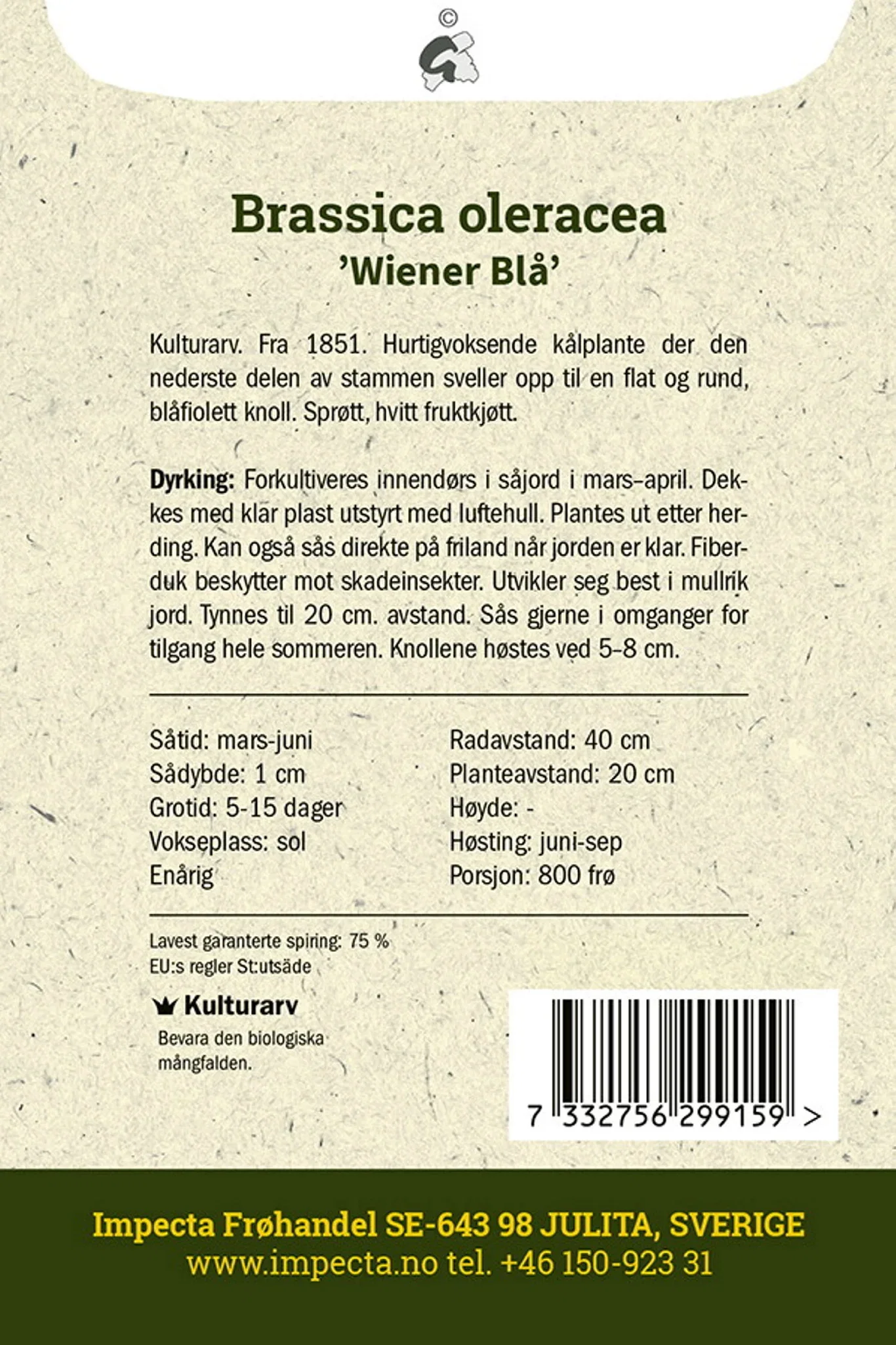 Brassica oleracea 'Wiener Blå' Knutekål 'Wiener Blå'