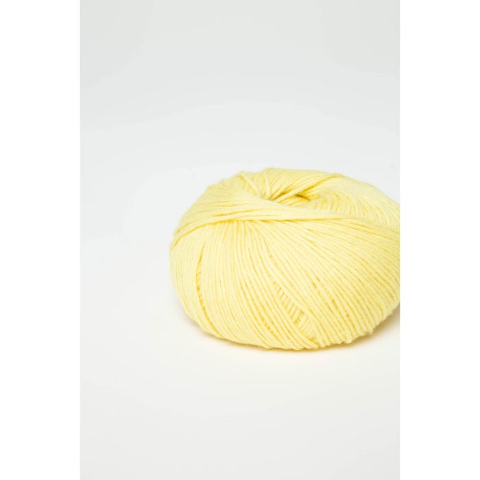 Atelier Veritas-Lily