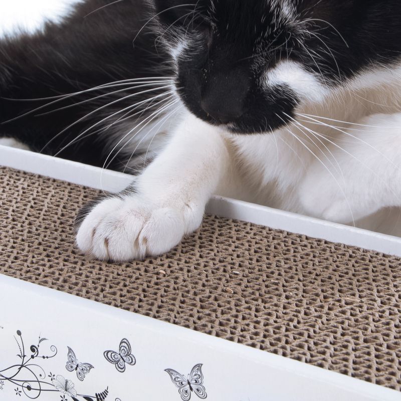 Griffoir en carton Multi-Scratch
