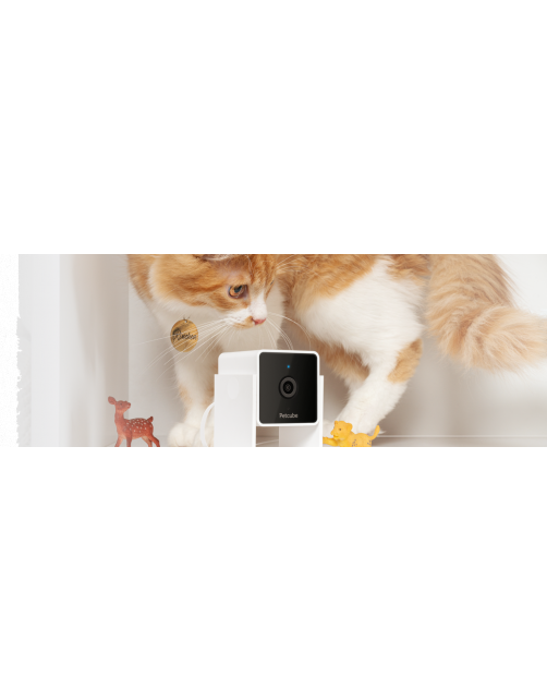 Petcube Pet Camera 1080p Hd Video Night Vision - IP Camera's - Wit