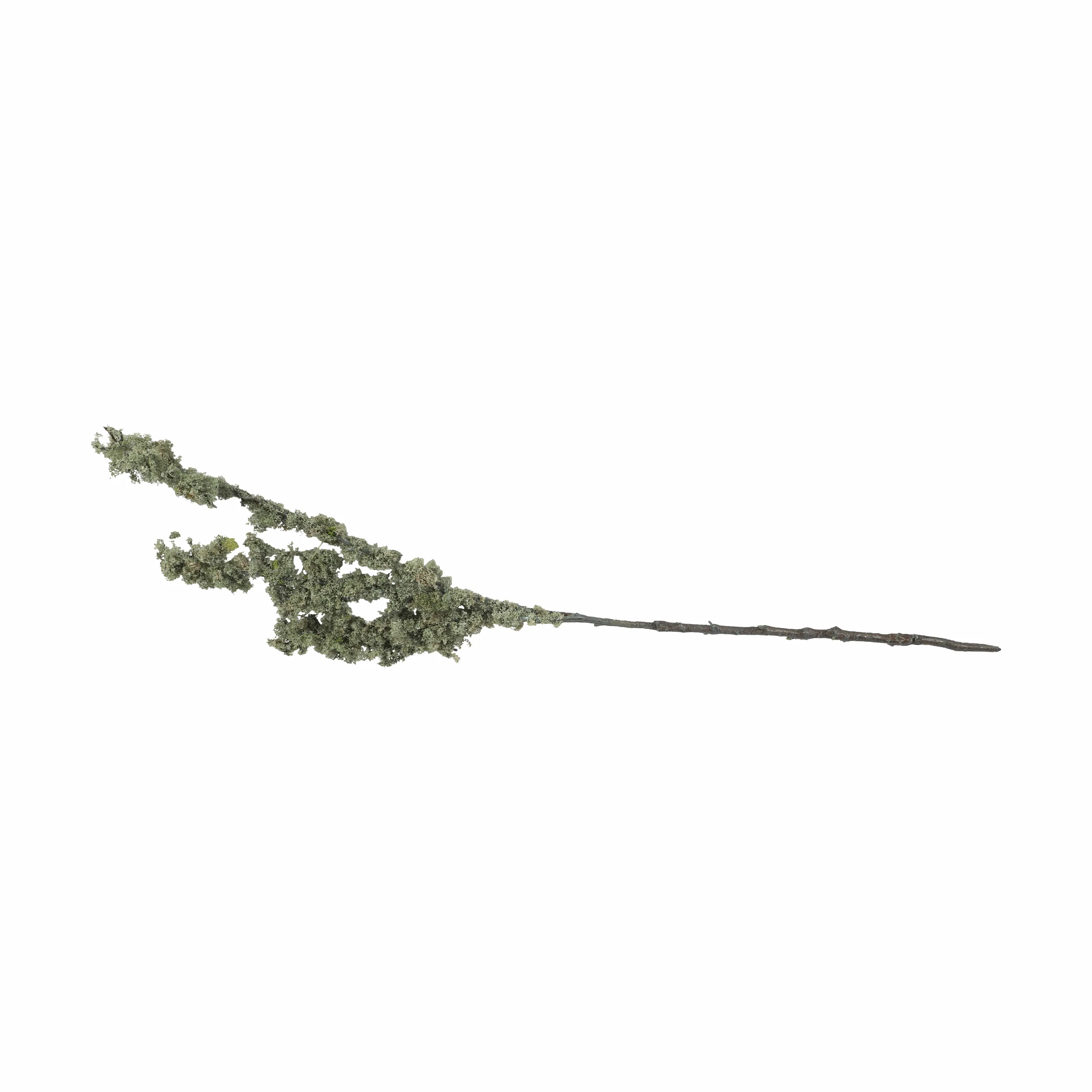 Mr. Plant Mosgren