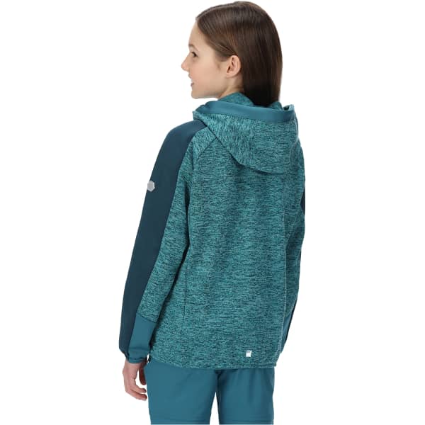 Veste polaire randonnée REGATTA DISSOLVER VI PAGODA/DRGNF