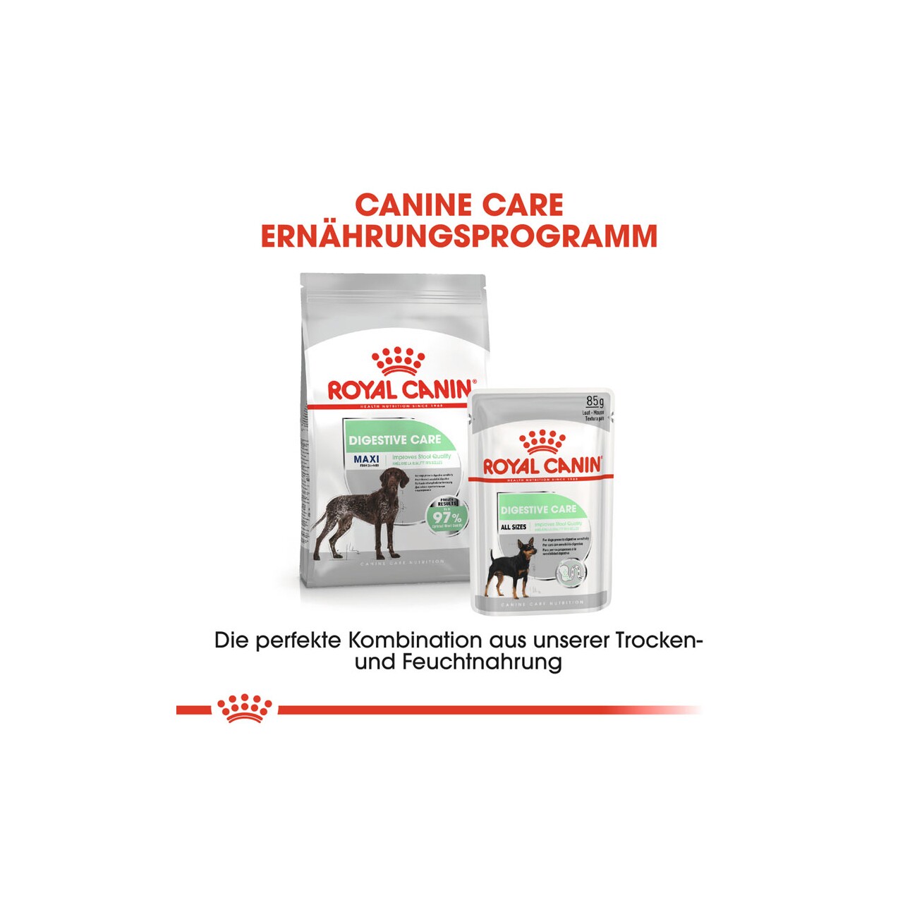 ROYAL CANIN Digestive Care Maxi 3 kg