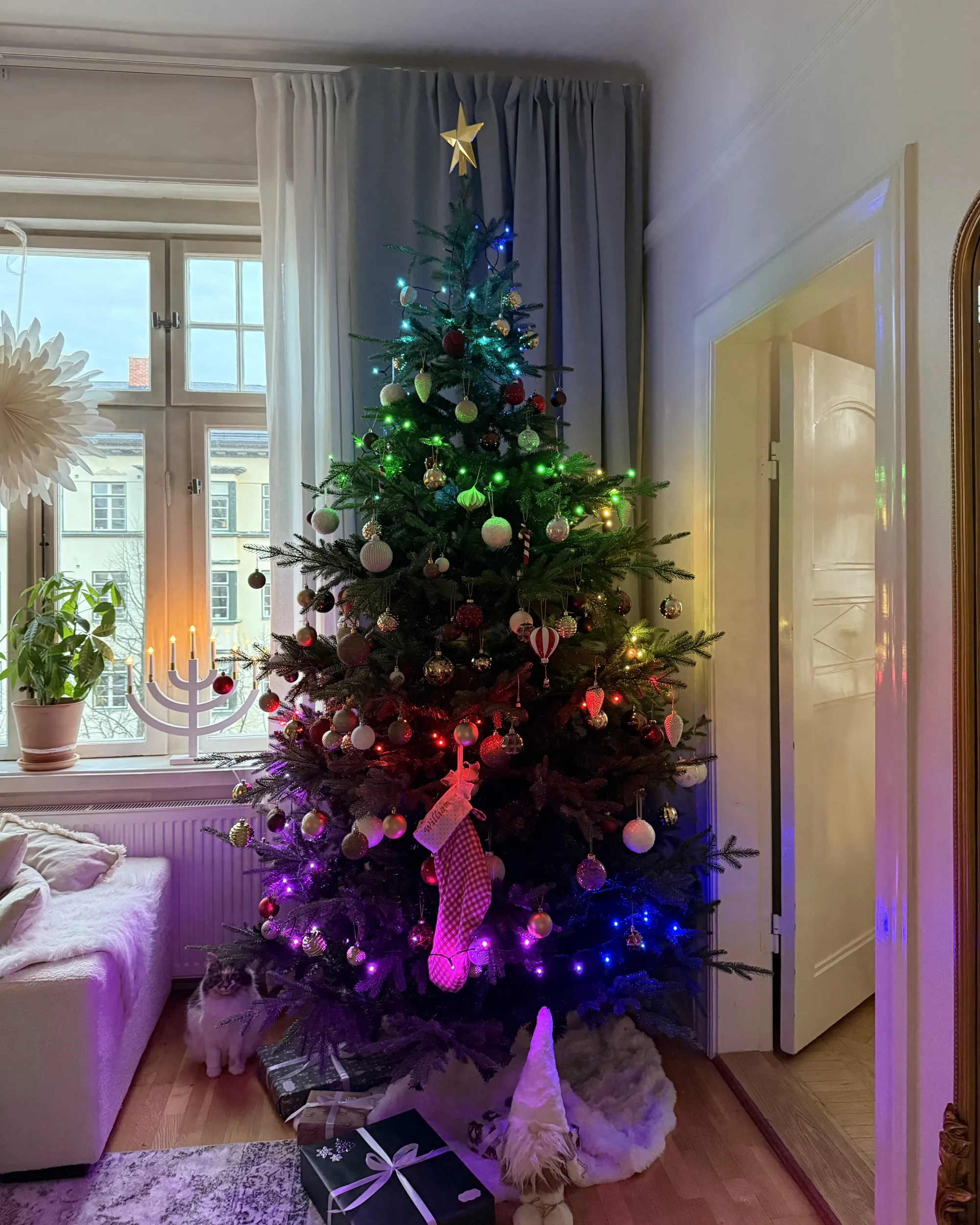 Lichtsnoer slimme LED met app IGALIKU 13.5 m Multicolor