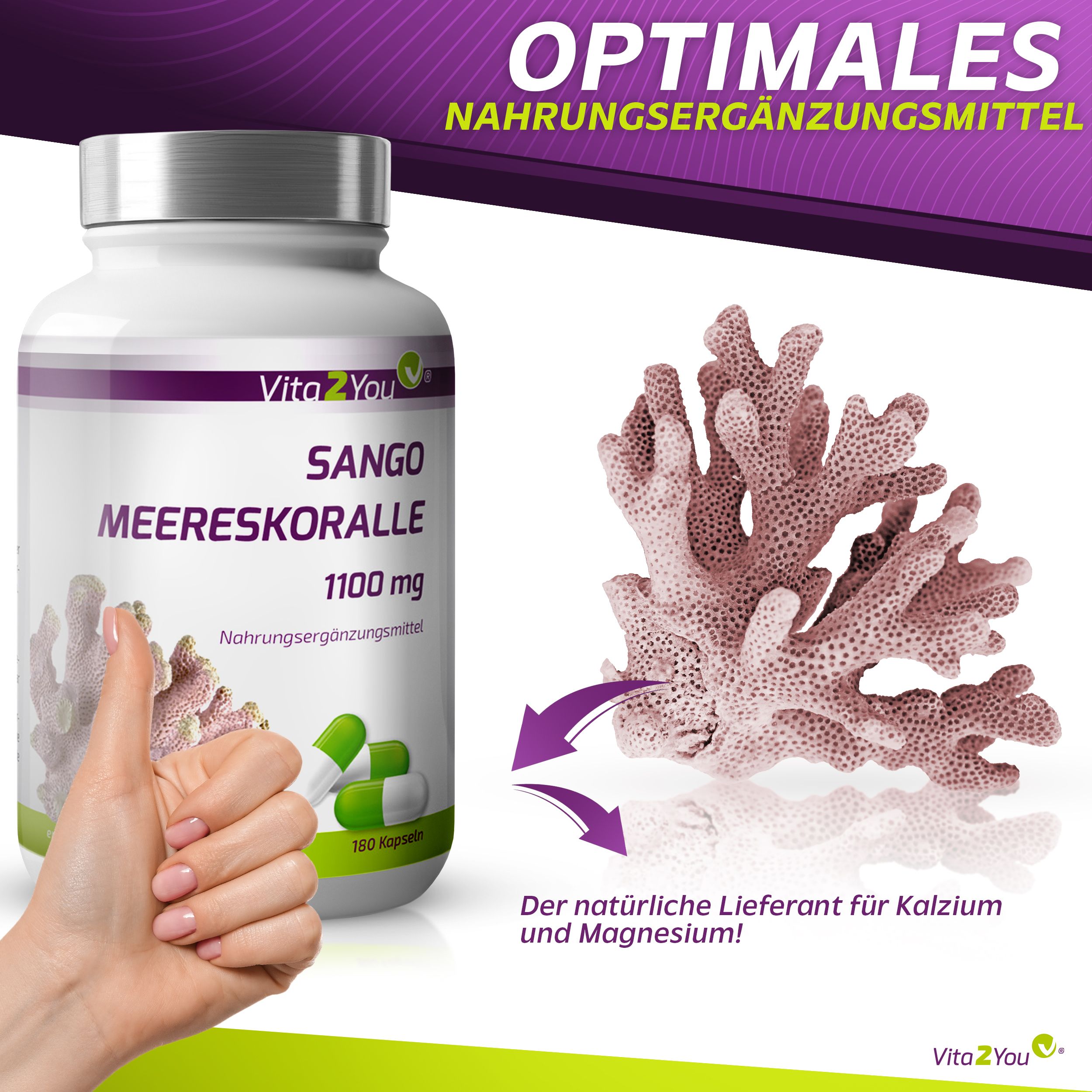 Vita2You Sango Meereskoralle Kapseln Magnesium & Kalzium