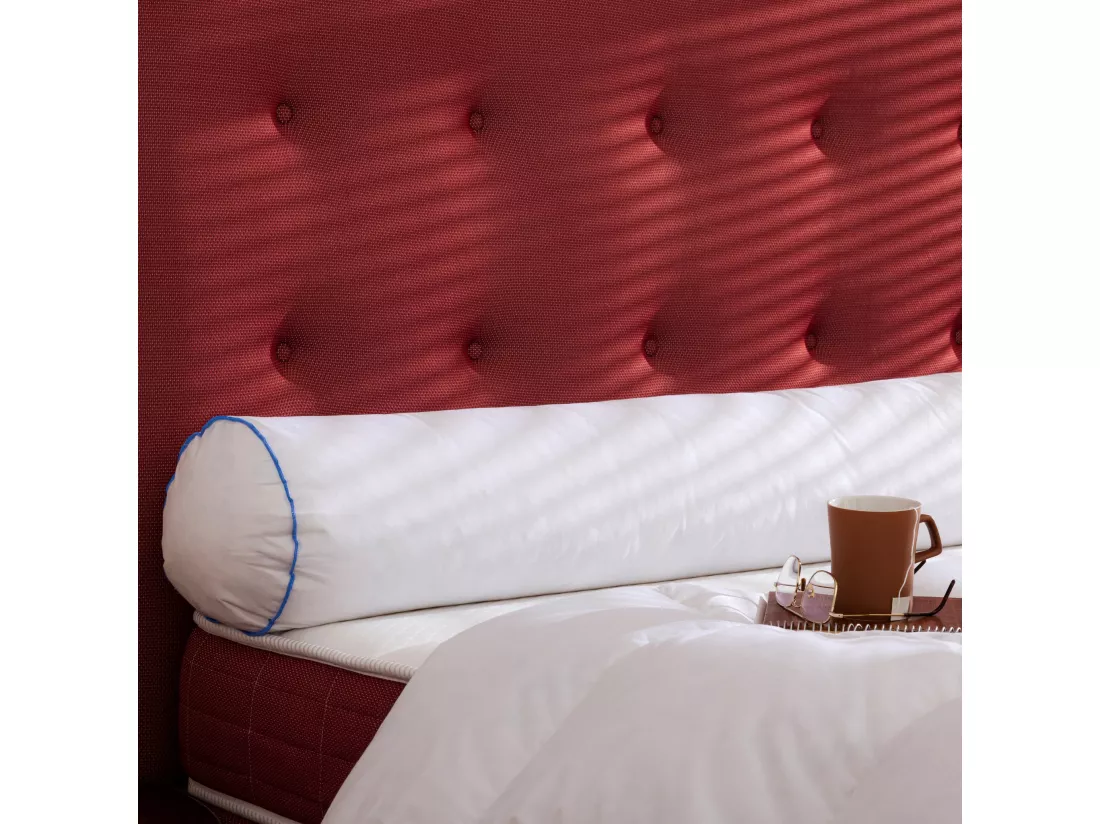 Traversin moelleux duvet de canard anti-allergènes Someo 90