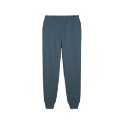 PumaESS+ 2 Col Logo Pants FL - grau