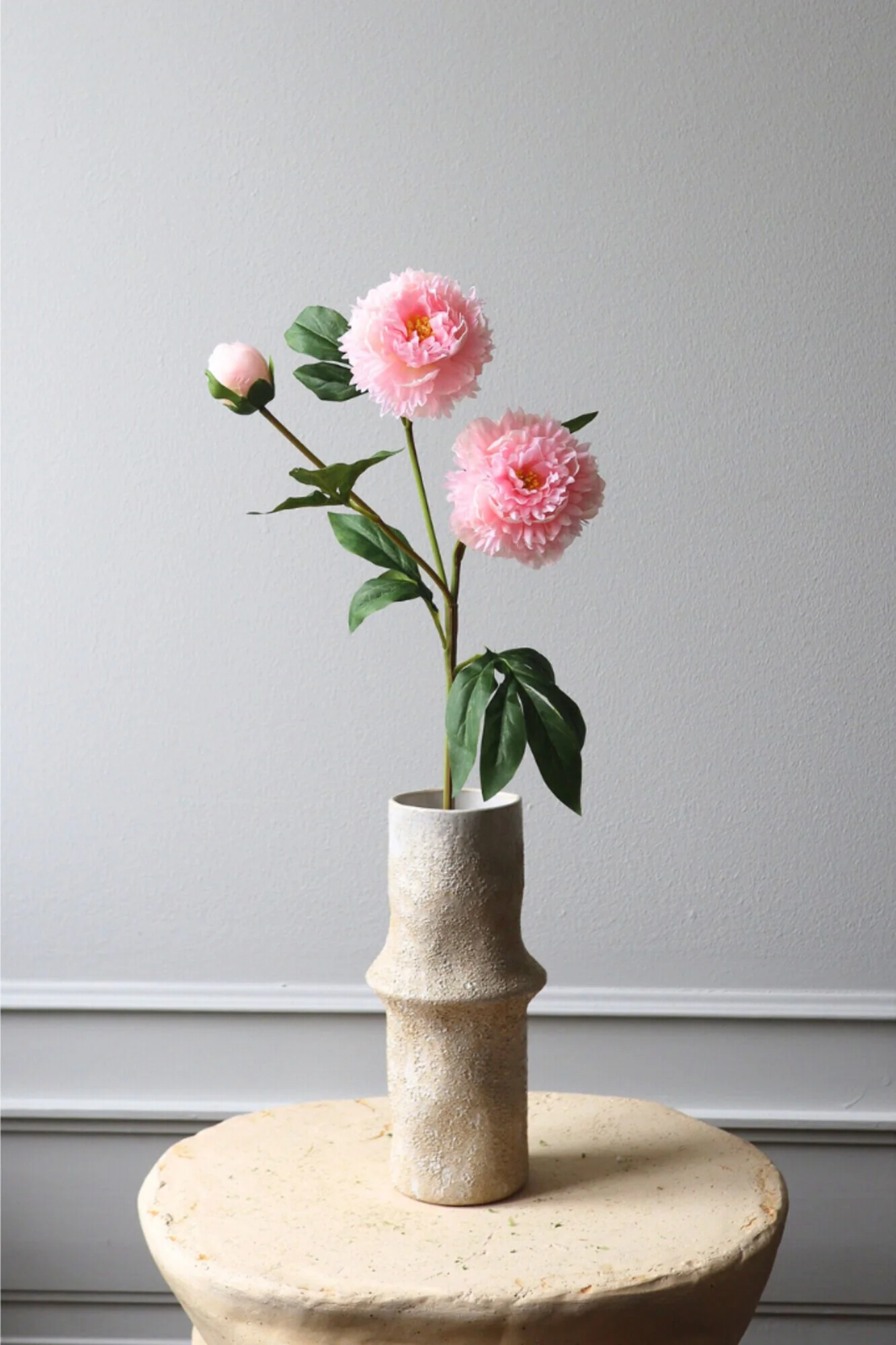 Botané  Pæon blomst - pink