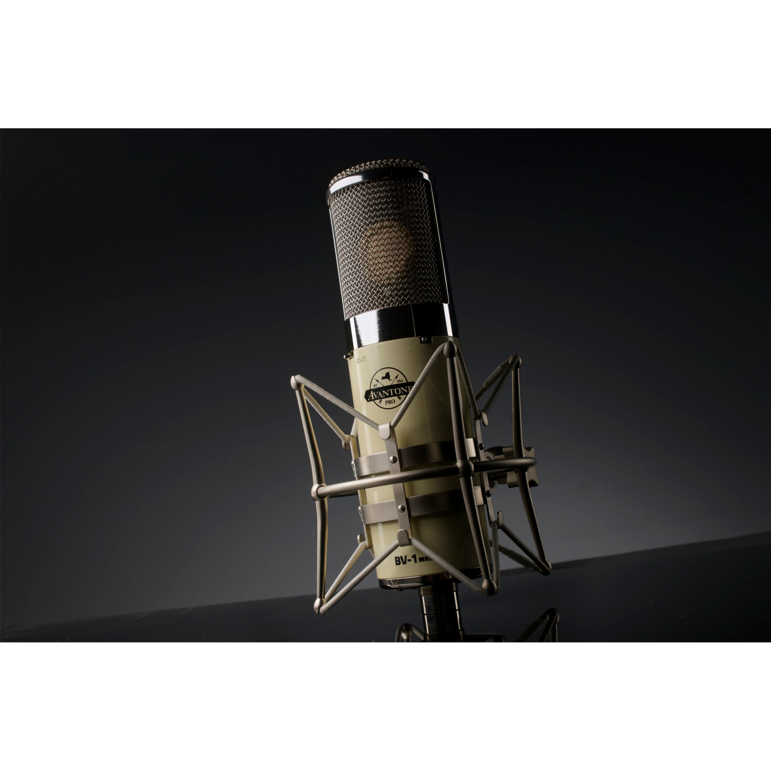 Avantone Pro BV-1 mkII grootmembraan buizen condensatormicrofoon