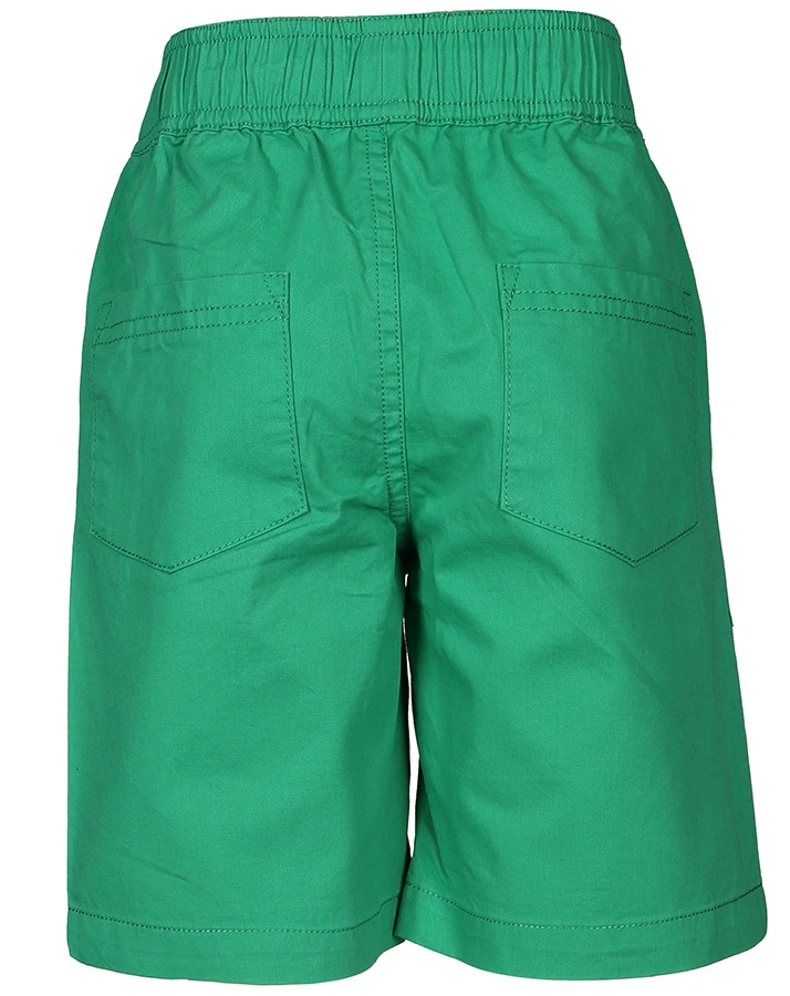 Bermuda-Shorts HUEY WOVEN in grün