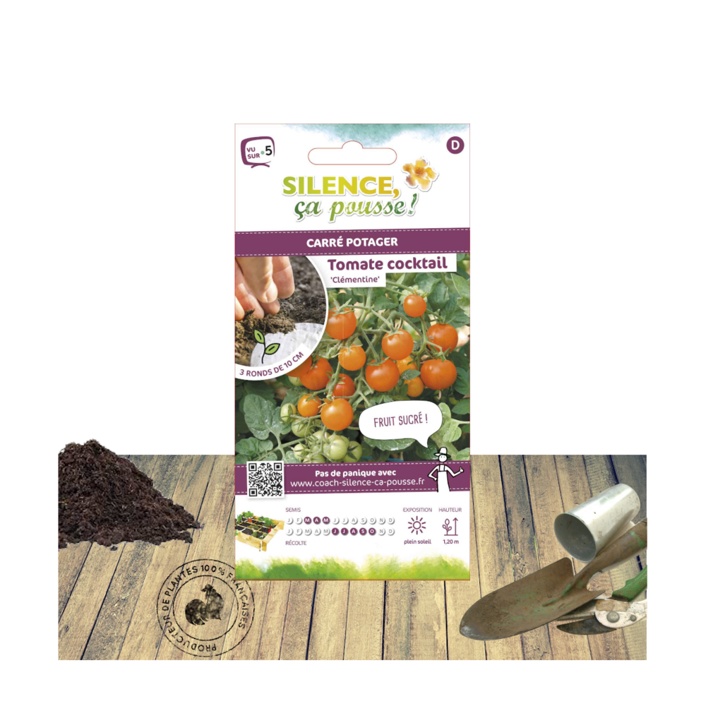 Graines de tomate clémentine/solanum lycopersicum clémentine[-]présemée