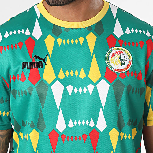 Maillot De Foot Sénégal FSF Football Culture 772449 Vert