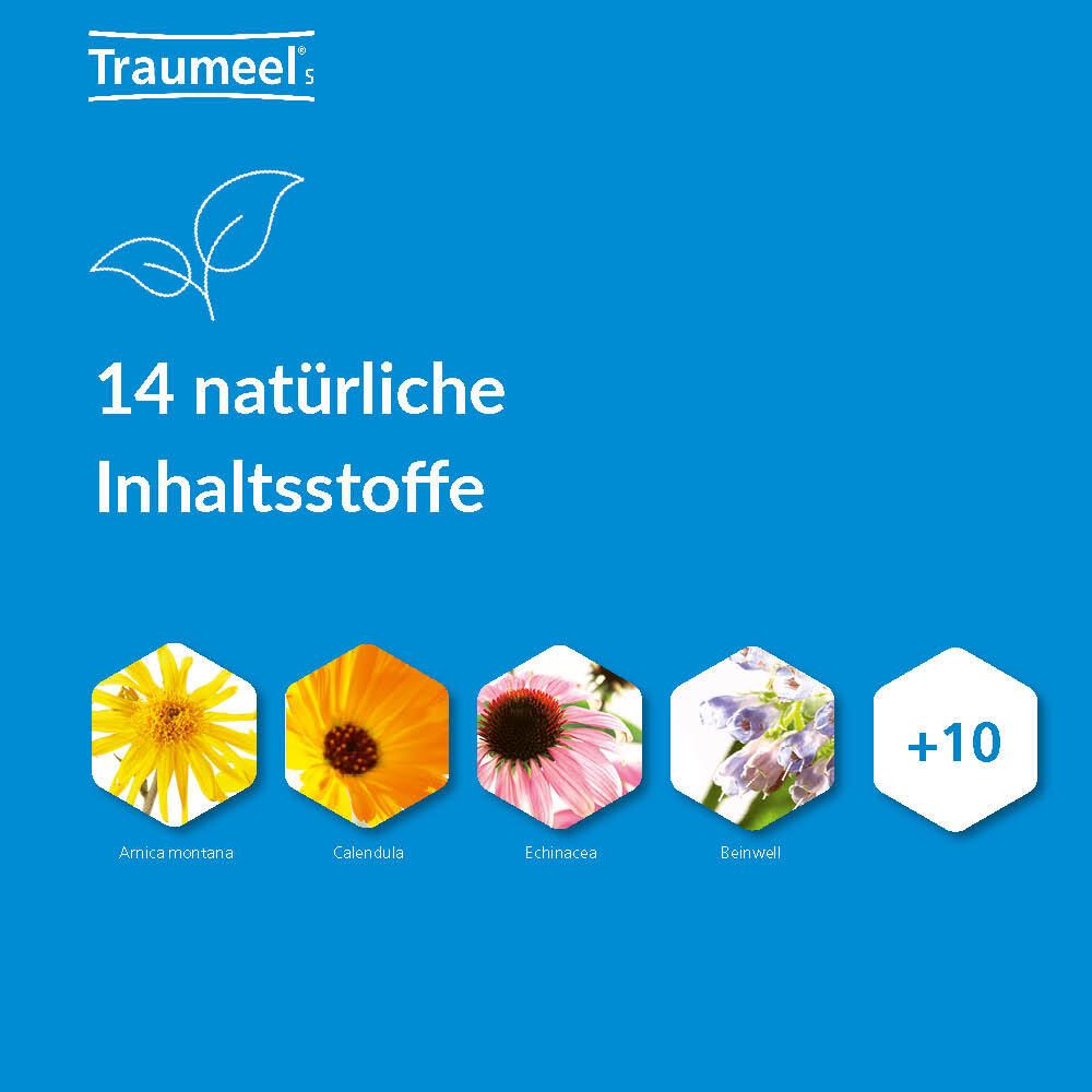Traumeel® S