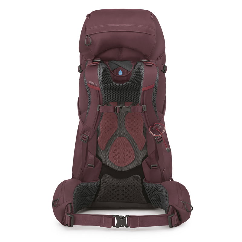 Osprey Kyte 58 vandrerygsæk, dame 58 L (Elderberry / Purple)